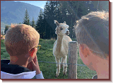 IMG-20231004-WA0004