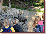 IMG-20231004-WA0011