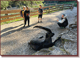 IMG-20231004-WA0017