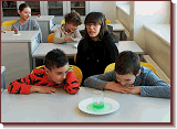 IMG-20240119-WA0005