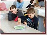IMG-20240119-WA0017